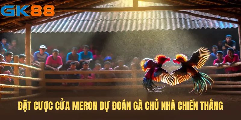 Đặt cược cửa Meron dự đoán gà chủ nhà chiến thắng